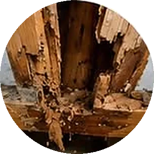 Viga de madera partida y vaciada por comején